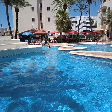 Llagosta 3 Denia